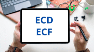 Leia mais sobre o artigo Alerta! Transmissão da ECD e ECF será suspensa em data de dezembro